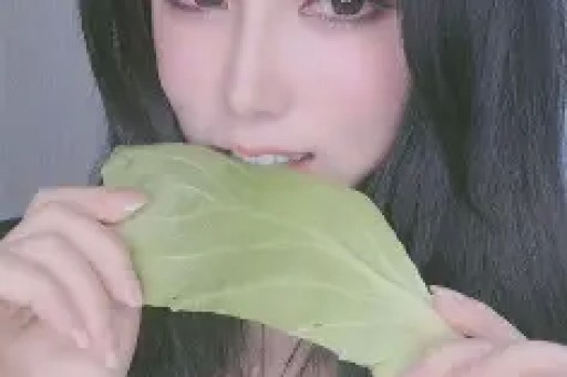 超级坠落弗莱德V10安卓版最新版